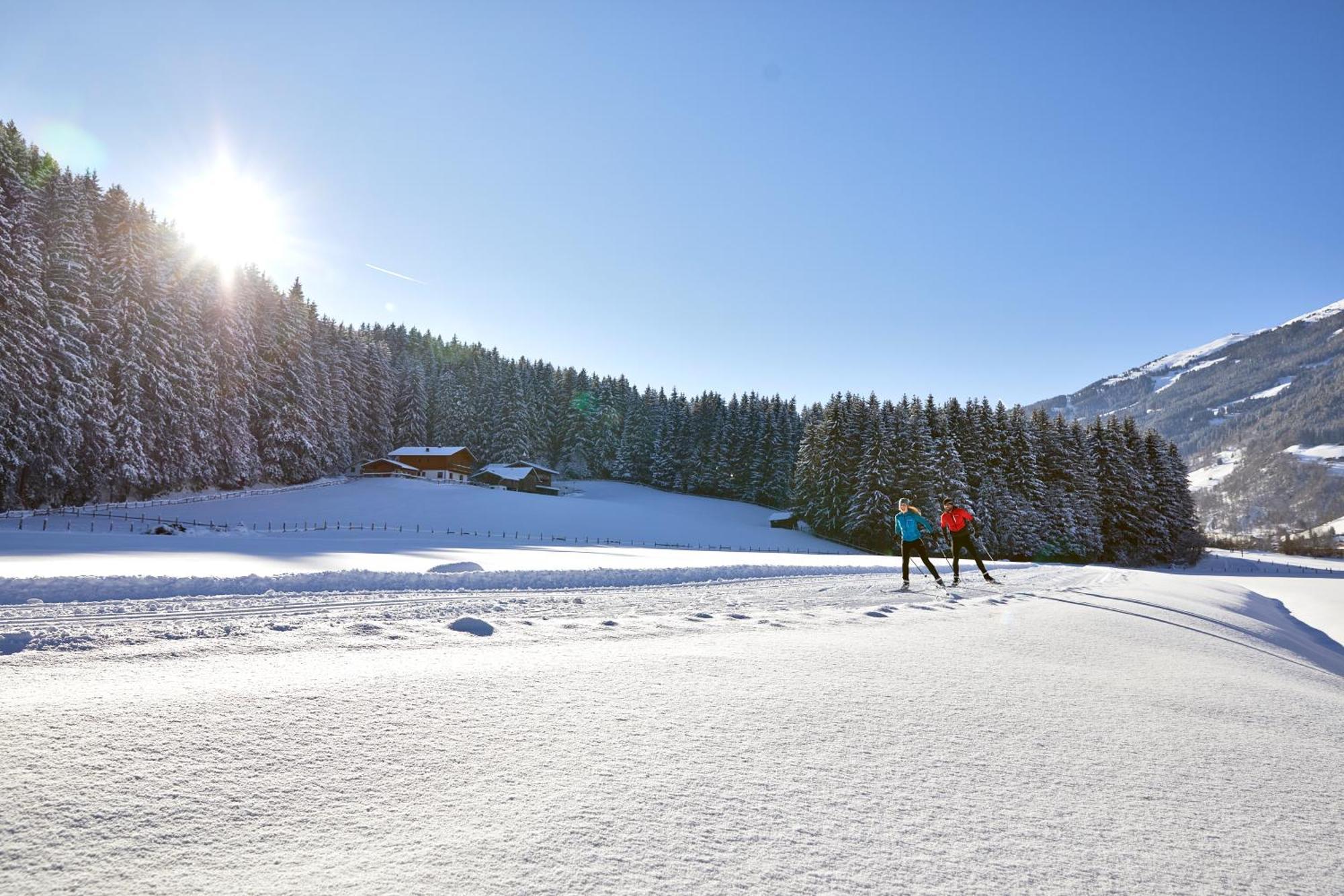 Appartements Mary Inklusive Tauern-Spa Kaprun Dış mekan fotoğraf