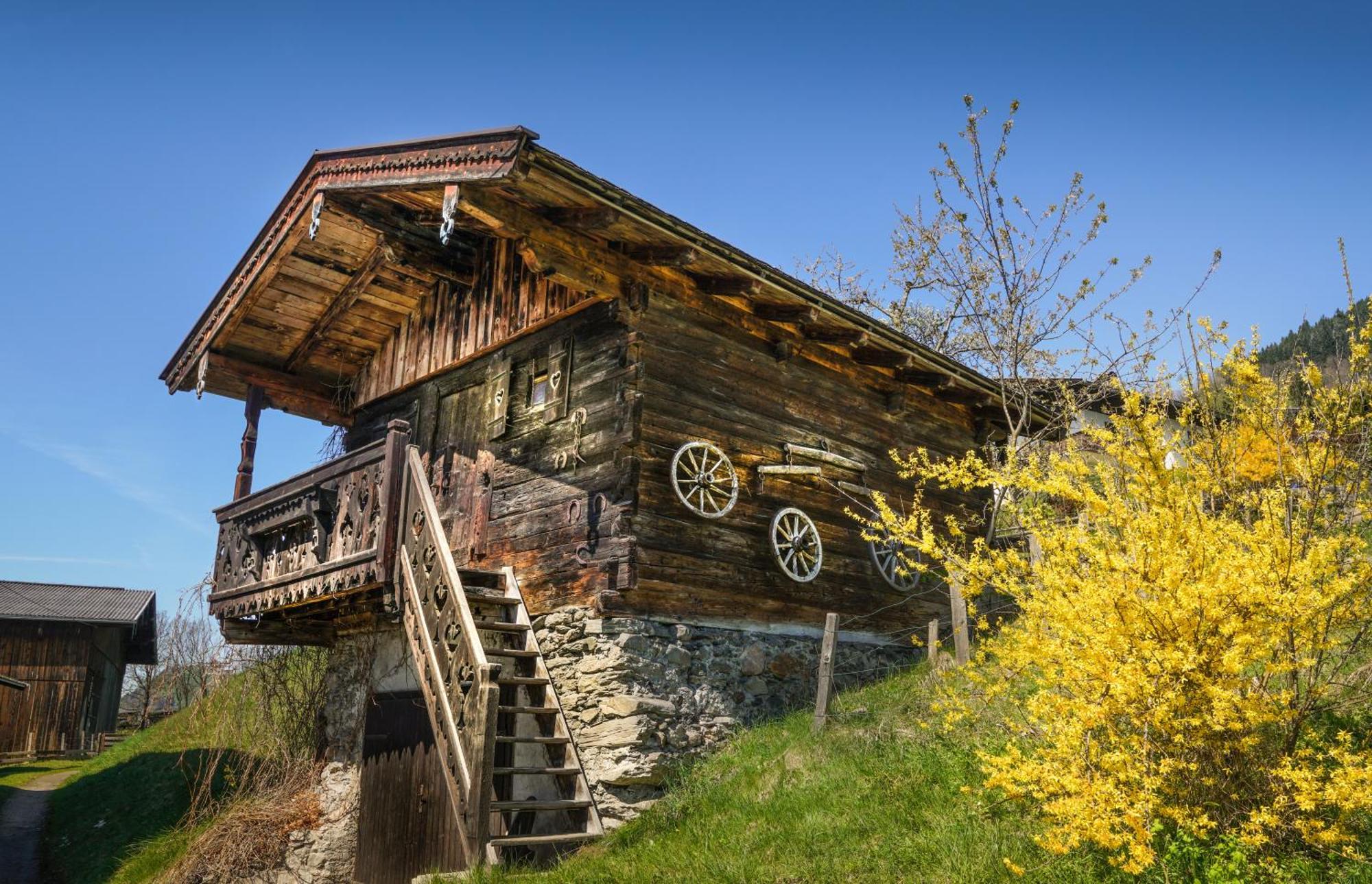 Appartements Mary Inklusive Tauern-Spa Kaprun Dış mekan fotoğraf