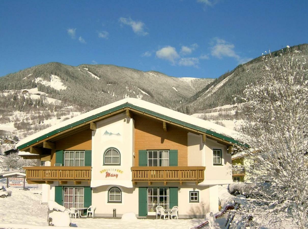 Appartements Mary Inklusive Tauern-Spa Kaprun Dış mekan fotoğraf